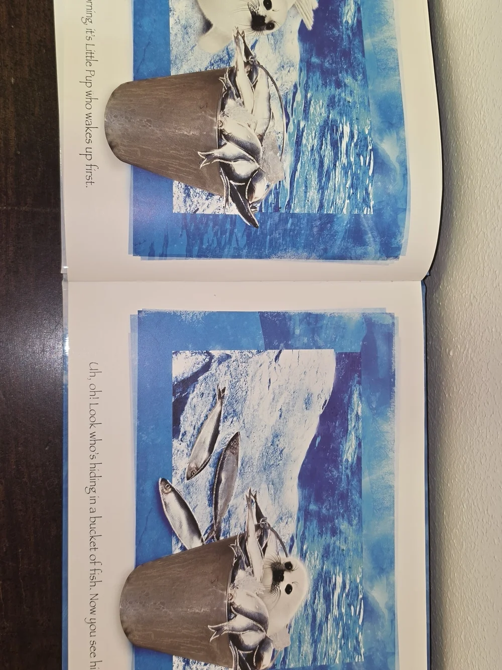 Shamu and the Adventurous Seal Pup Picture Book - Blue Cover